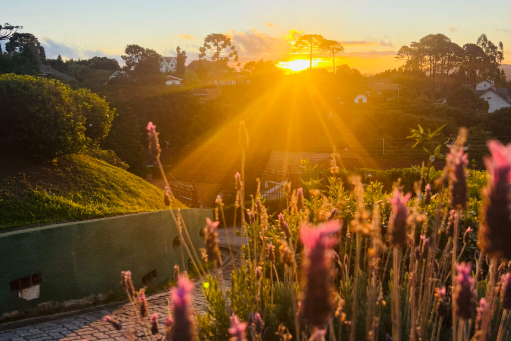 post-imagem-capa-621-Pzo7tCXaK0