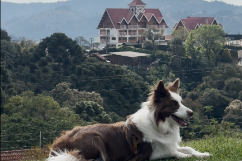 post-imagem-capa-627-3PGxdsOGFN