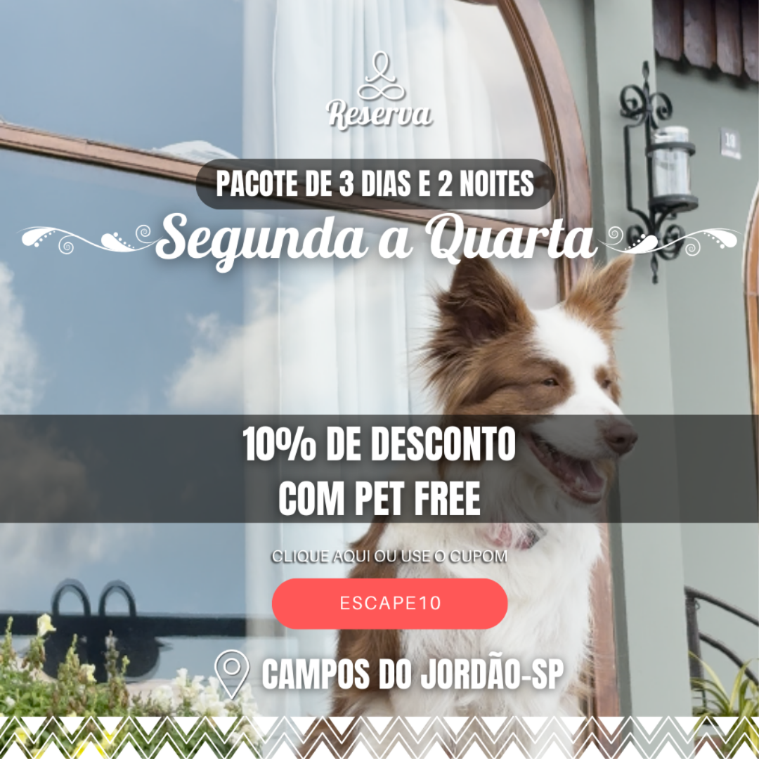 promocao-imagem-608-TM1WcsqI4q